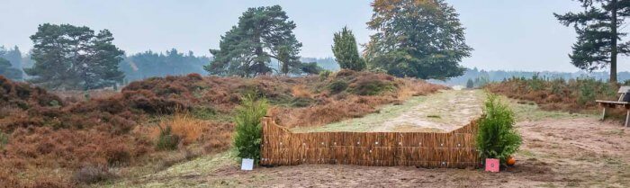 Hindernis voor paarden een lage sprong