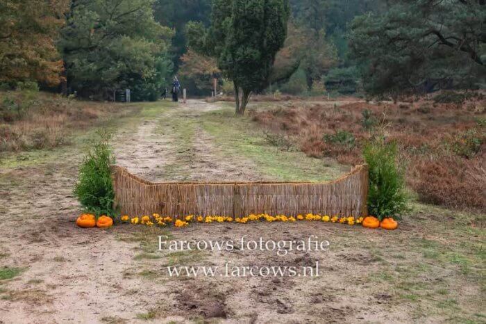 hindernis voor paarden lage sprong