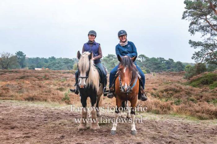 twee stilstaande paarden met ruiter geposeerd