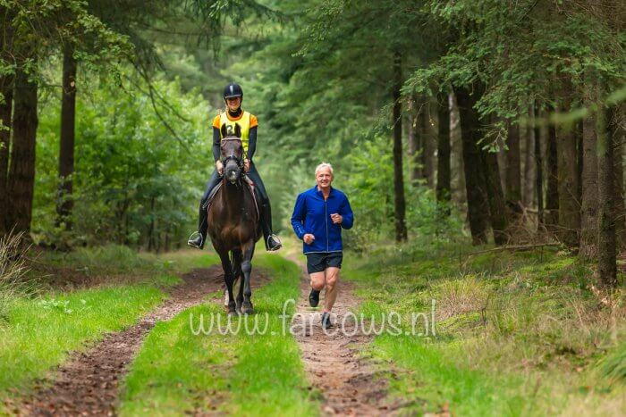 ruiter op donker bruin paard met hardloper er naast