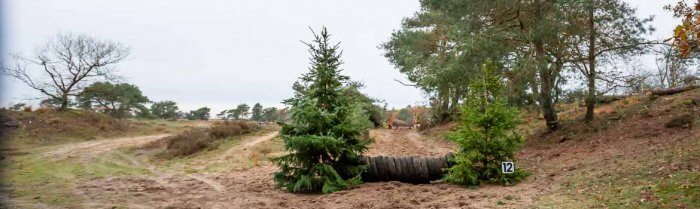 Hindernis paard van autobanden tussen twee kerstbomen