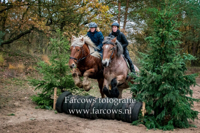 twee paarden tegelijk over hindernis Herfst-crossrit Huneruiters 2019