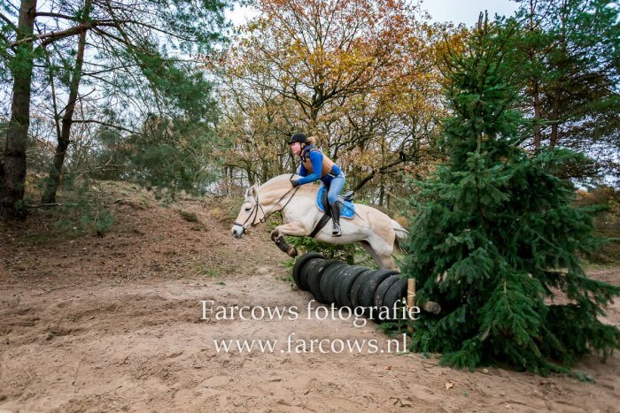 wit paard springend over hindernis Herfst-crossrit Huneruiters 2019