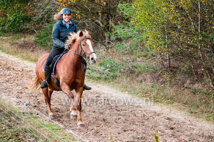 Amazone te paard met grote glimlach