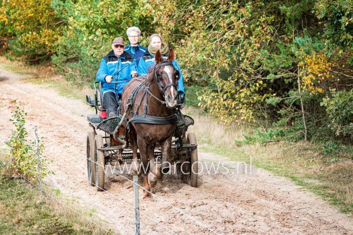 paard en wagen op zandpad