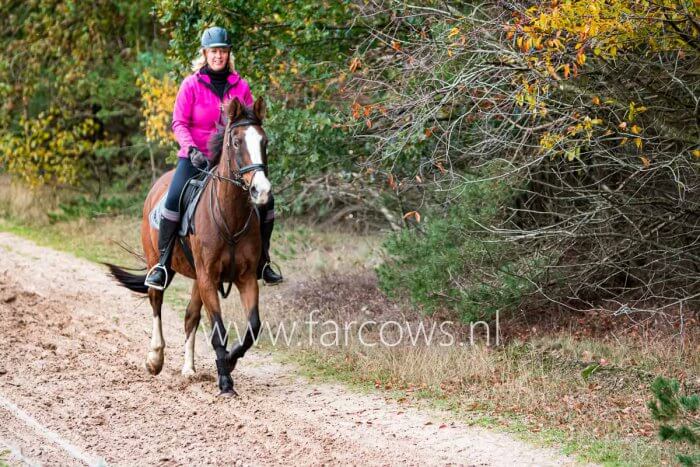 amazone te paard in roze jas