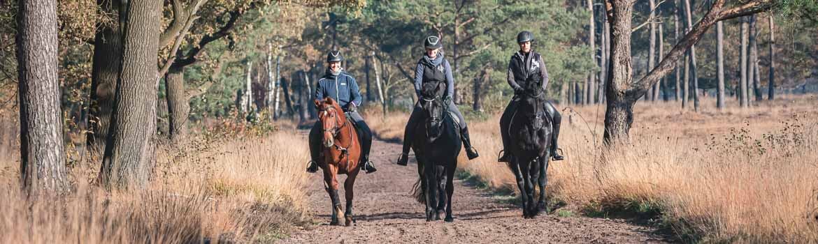 3 ruiters op zandpad in bos