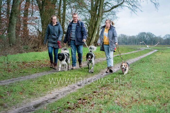 hond uitlaten met de familie