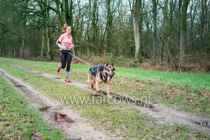 canicross dame roze herder