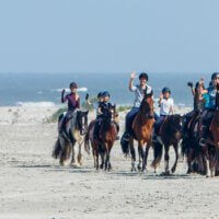 molenruiters strandrit ameland 2021 banner