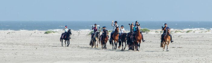 molenruiters strandrit ameland 2021 banner