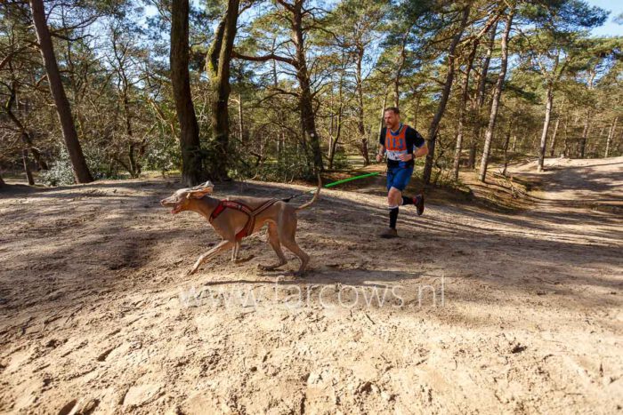 Canicross Norg 2022 lange cross