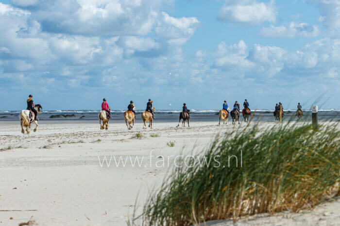 Molenruiters Strandrit 2022 groep