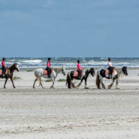 molenruiters strandrit ameland 2022 banner